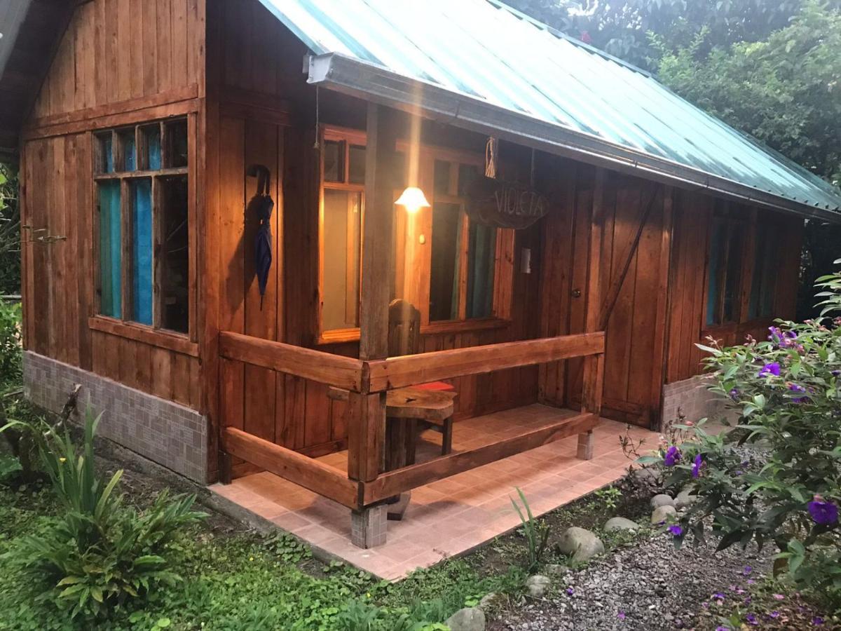 Hosteria Los Cedros De Mindo Dış mekan fotoğraf