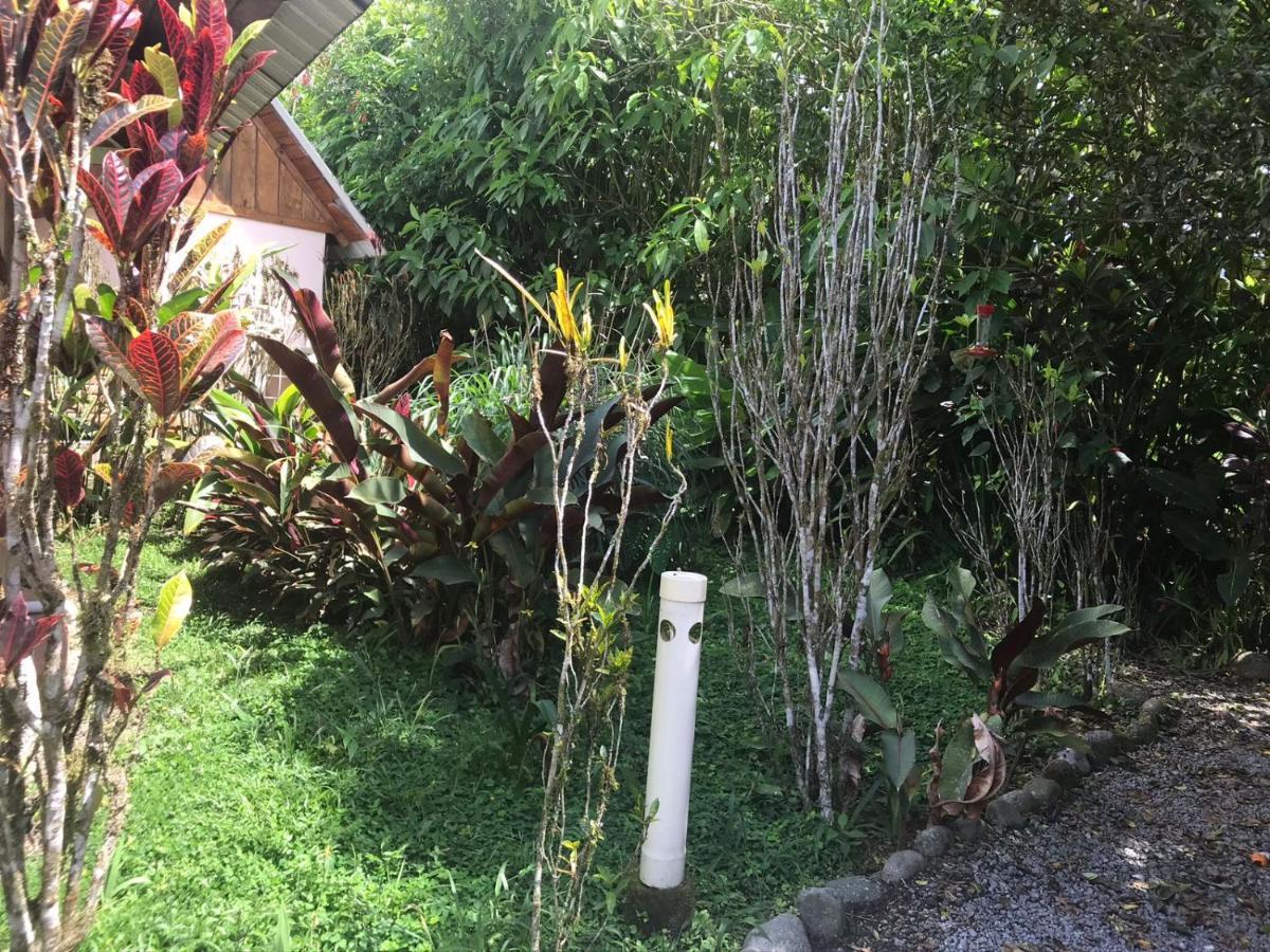 Hosteria Los Cedros De Mindo Dış mekan fotoğraf