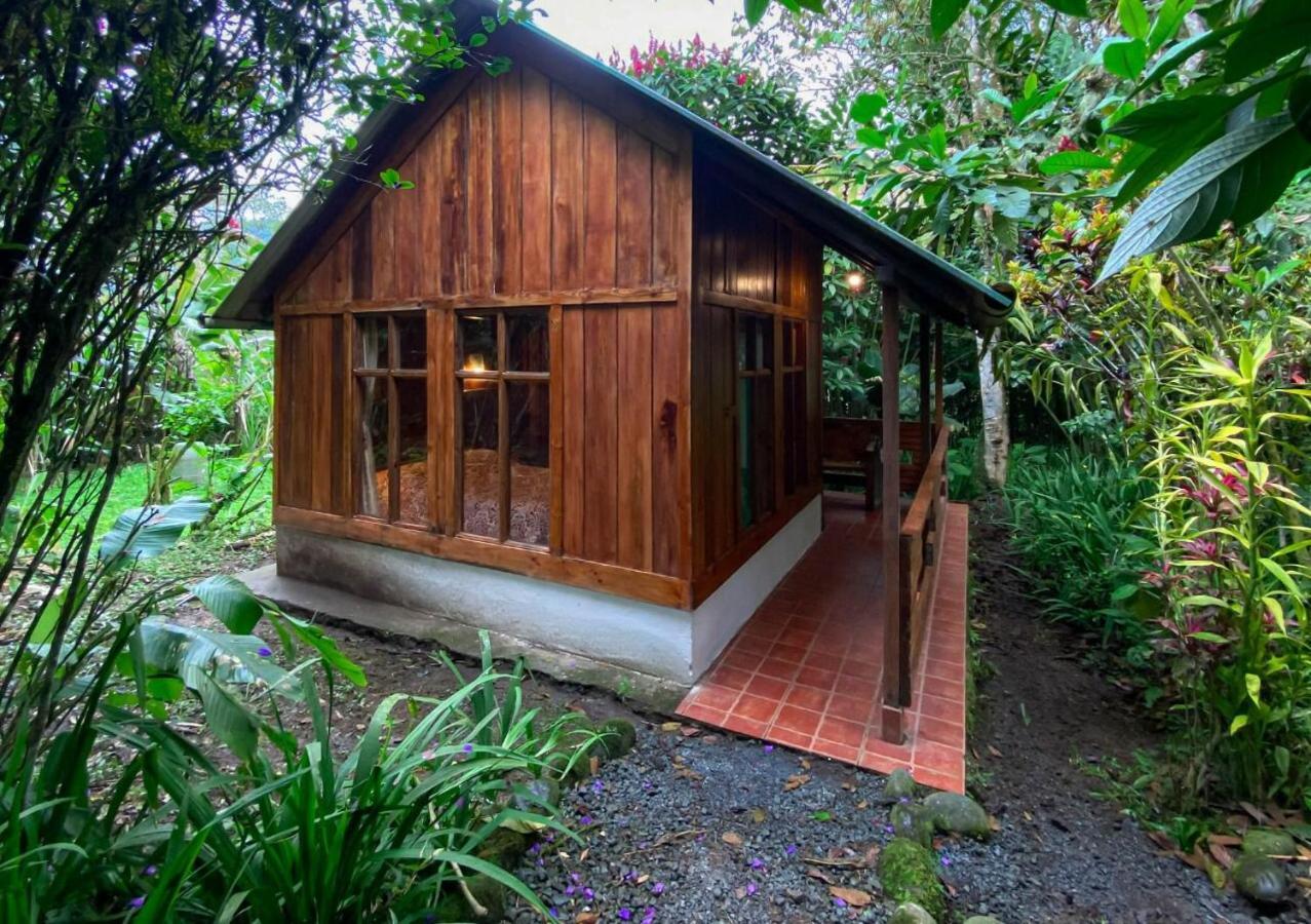 Hosteria Los Cedros De Mindo Dış mekan fotoğraf