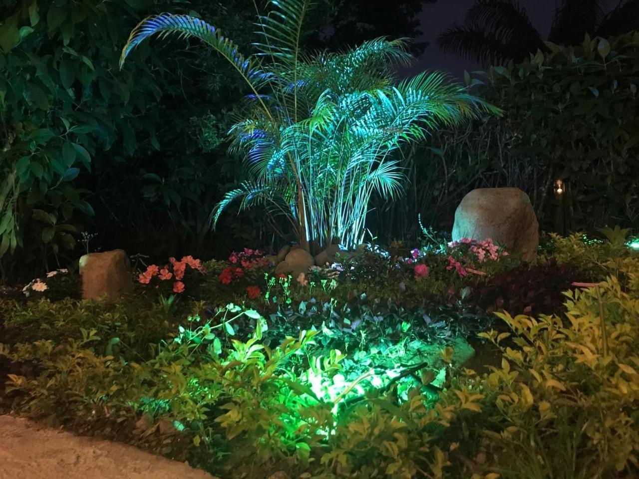 Hosteria Los Cedros De Mindo Dış mekan fotoğraf