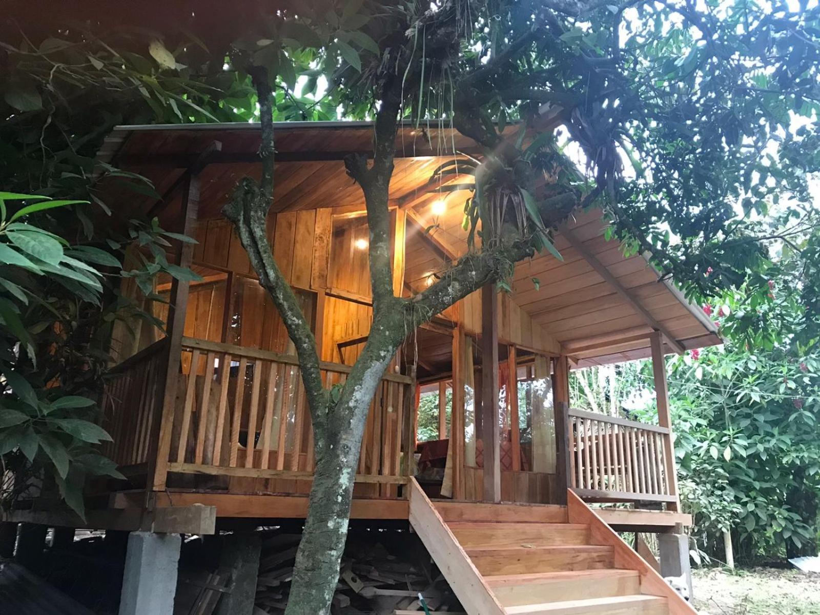 Hosteria Los Cedros De Mindo Dış mekan fotoğraf