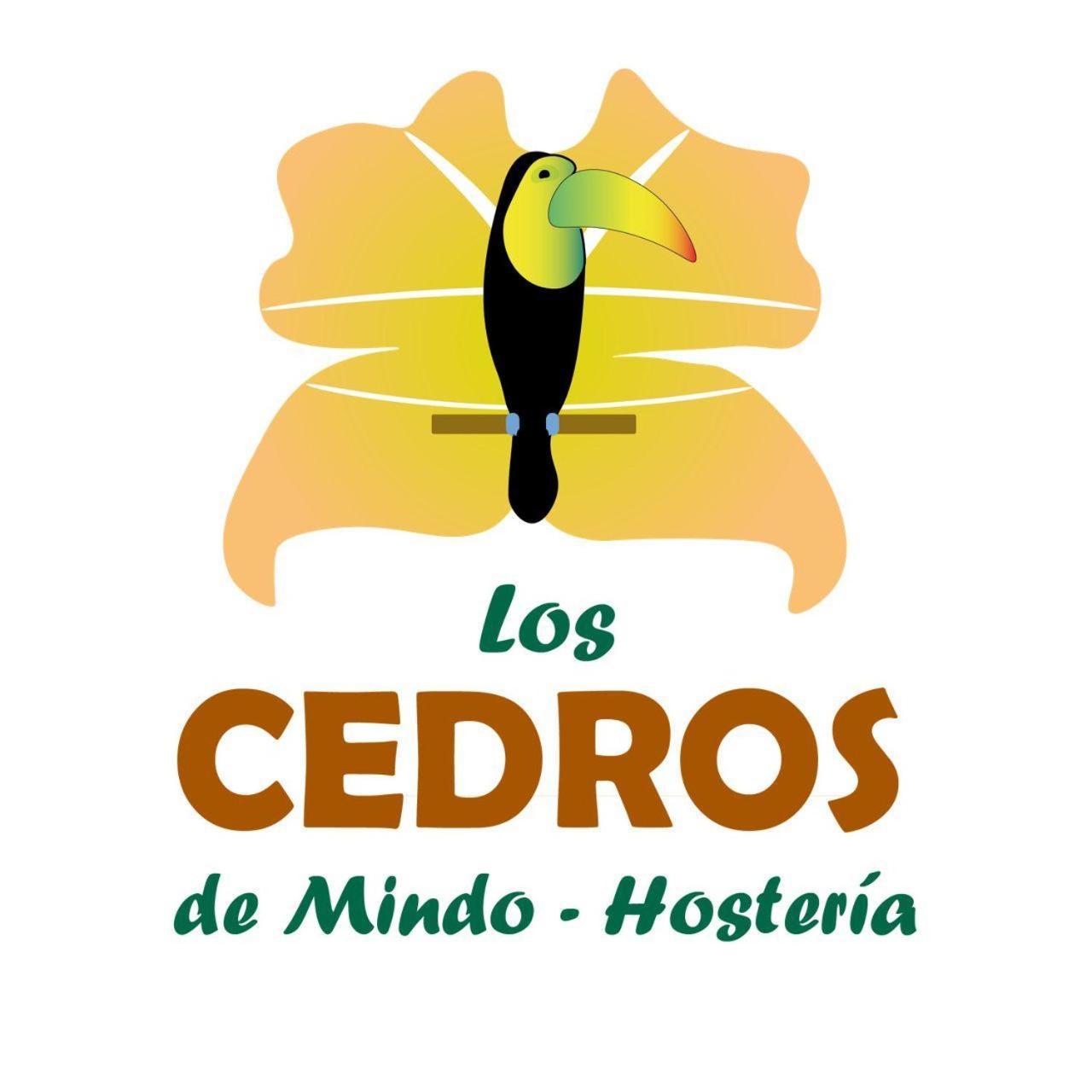 Hosteria Los Cedros De Mindo Dış mekan fotoğraf