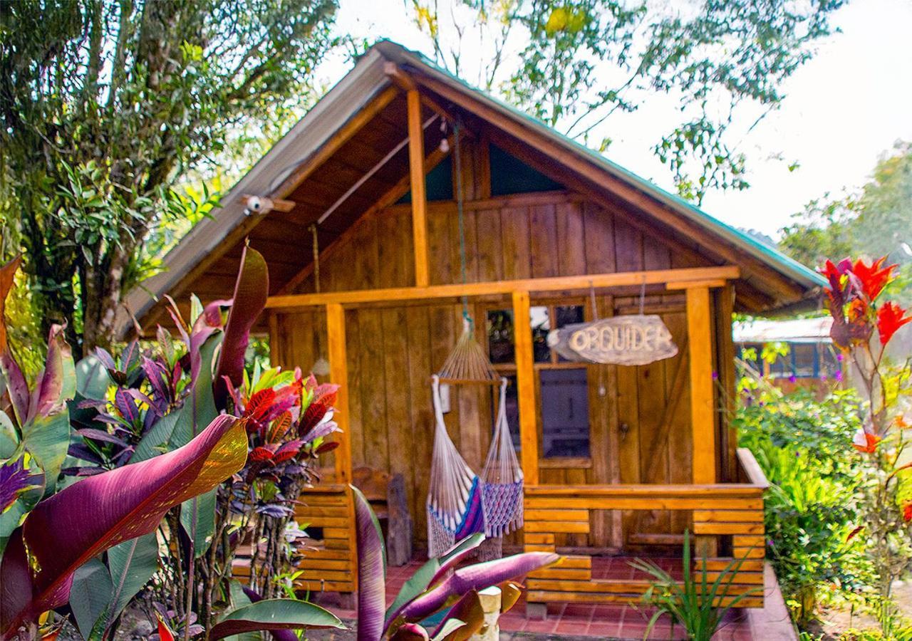 Hosteria Los Cedros De Mindo Dış mekan fotoğraf