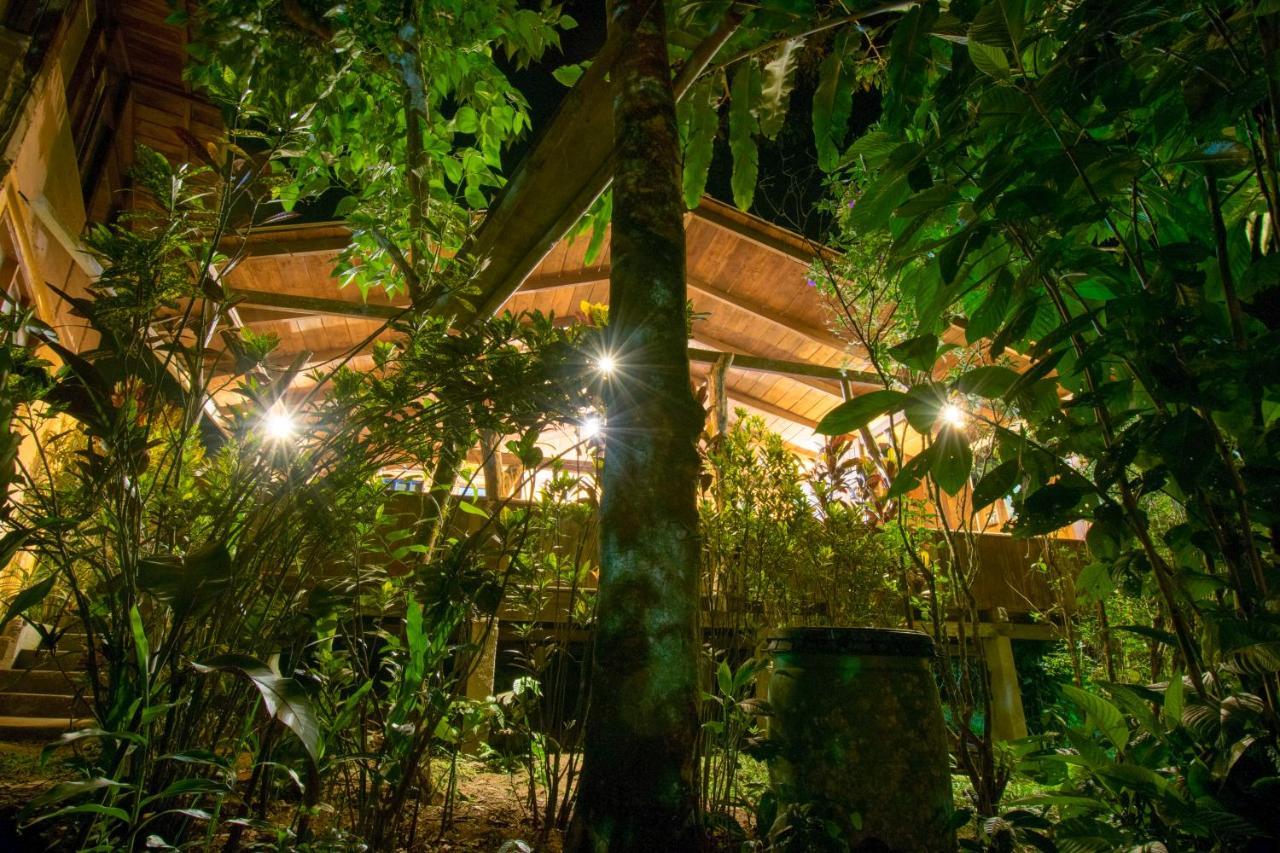 Hosteria Los Cedros De Mindo Dış mekan fotoğraf